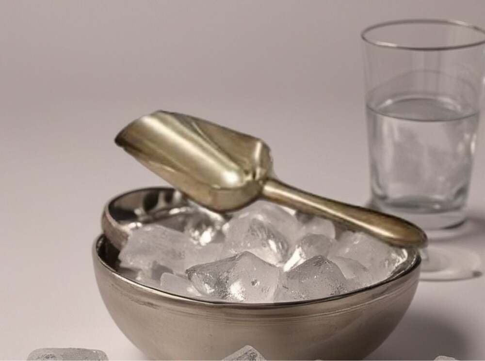 Vintage, Towle Silver Plated Ice Scoop, New in Box, Bar Cart Gift